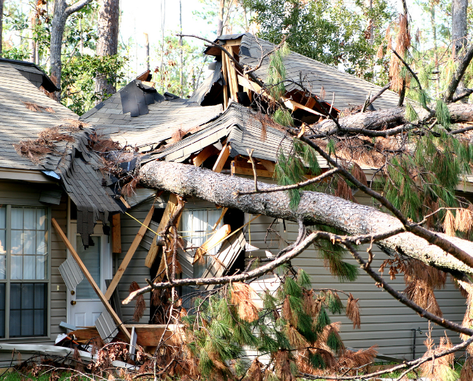 House with severe roof damage due to fallen tree.