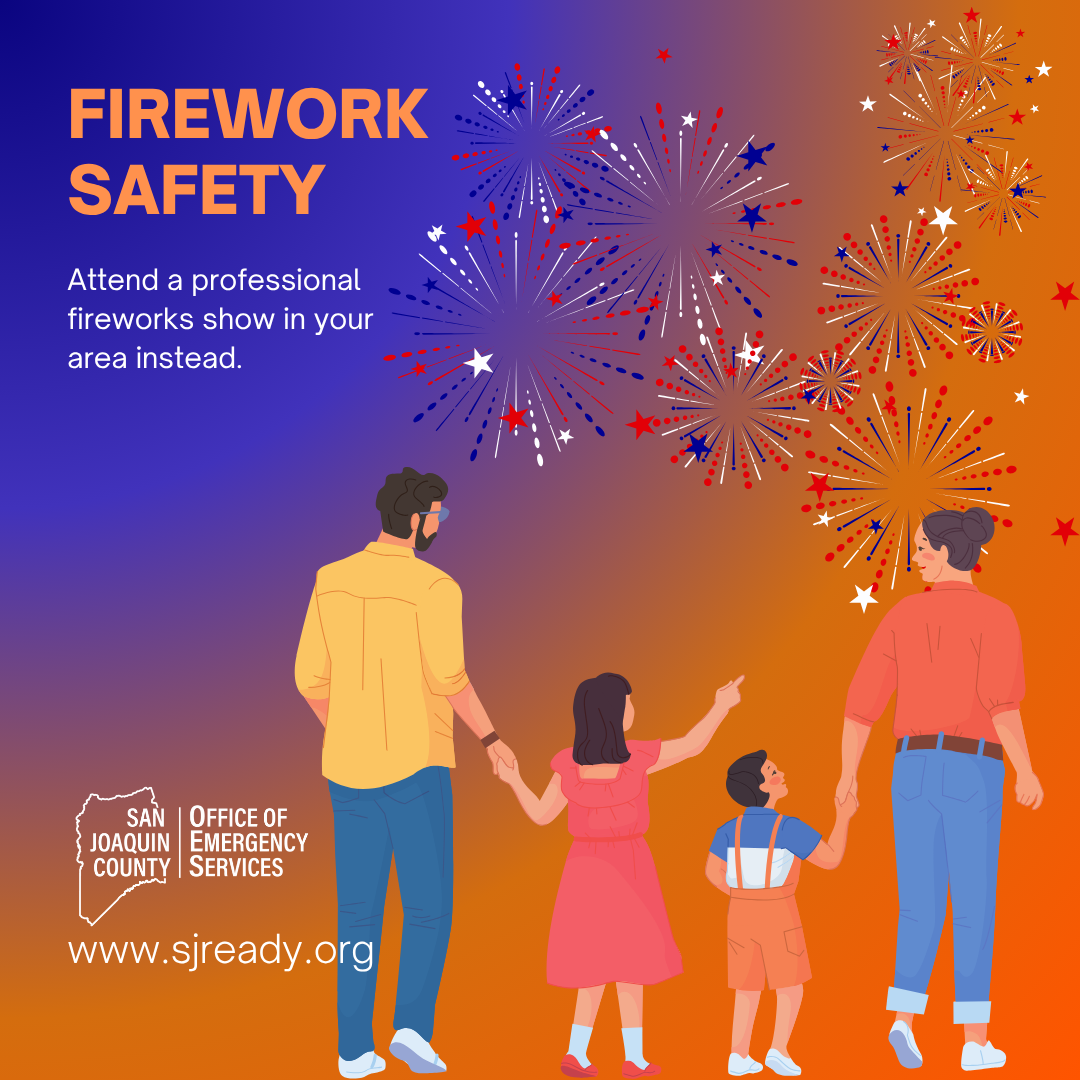 A family of four holding hands watches colorful fireworks in the night sky, promoting firework safety and attending professional shows.